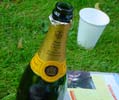 Picnic in Kew Gardens:
Champagne !!!!!!!!!!!